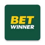 betwinner android application logo